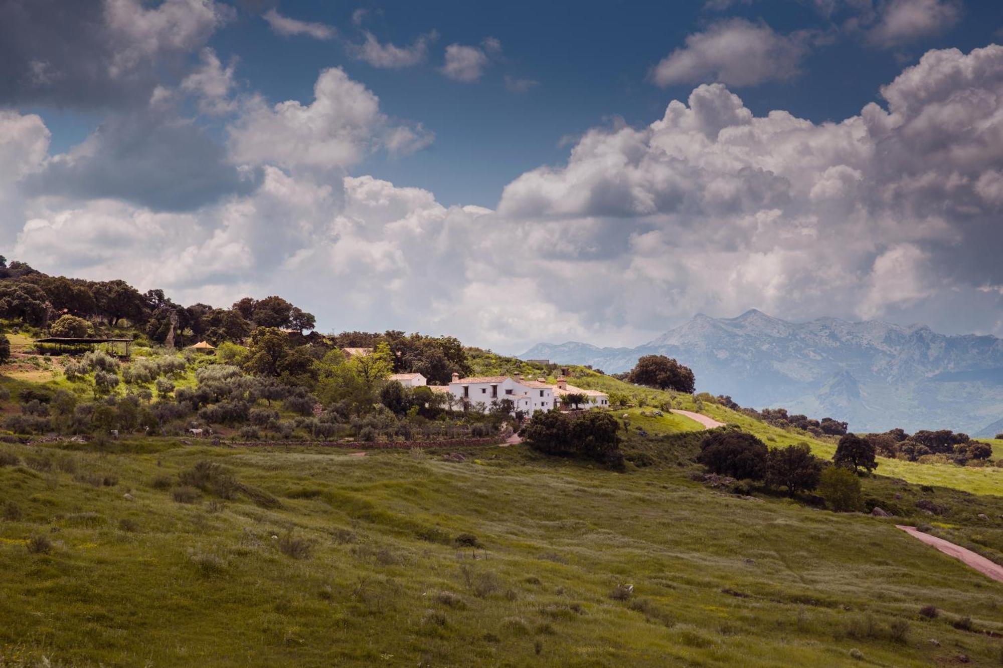 Гостевой дом La Donaira Монтекорто Экстерьер фото